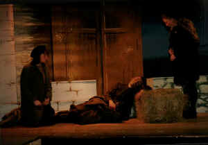 swdtw11l.jpg (45929 bytes)